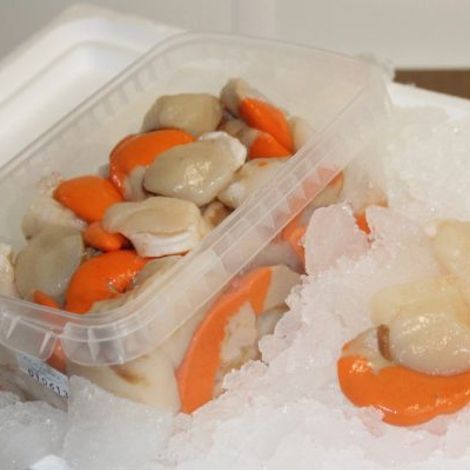 Fresh-Scallops-600x400.jpg