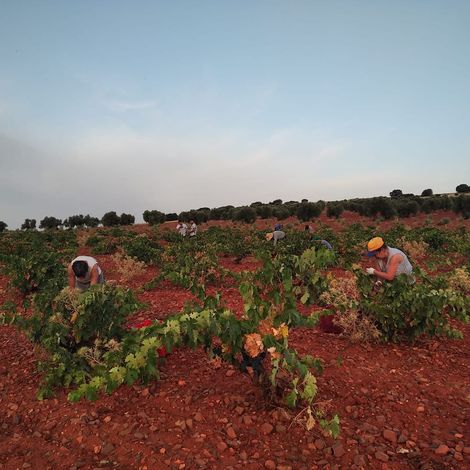 La Bodega de las Estrellas - People