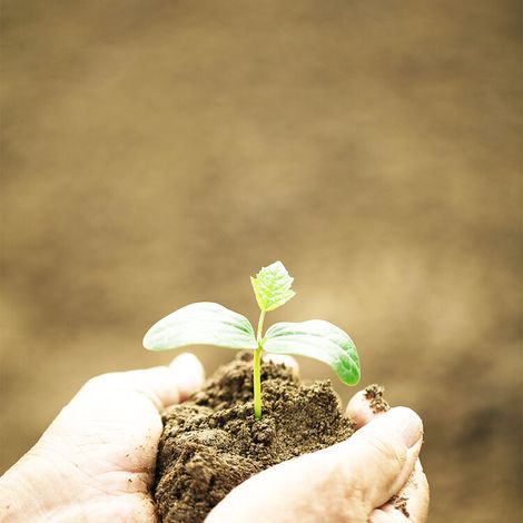 Pure Pacific Organics
