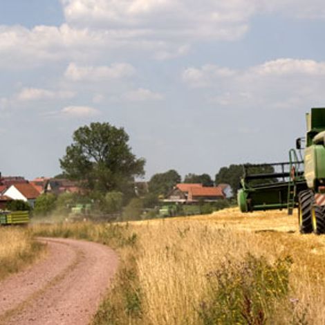Farm