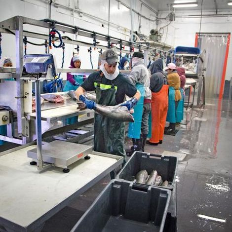 Production