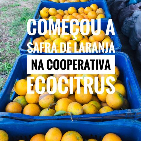 Ecocitrus
