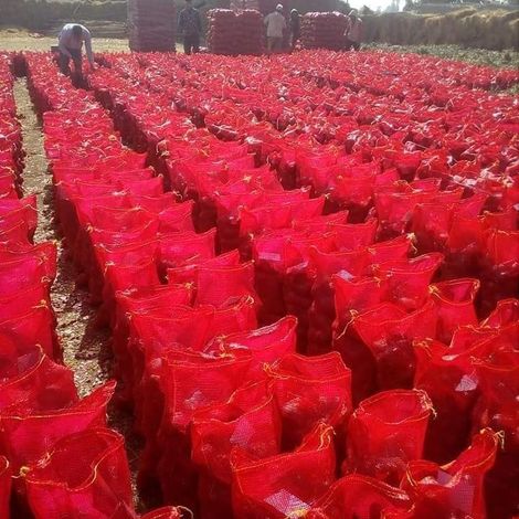 ETICO EGYPT - Packaged Products