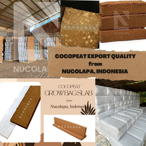 COCOPEAT PRODUCT SUMMARY
