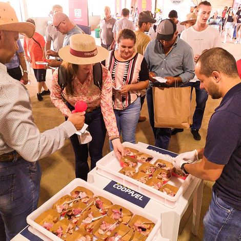 Coopavel - Exhiition