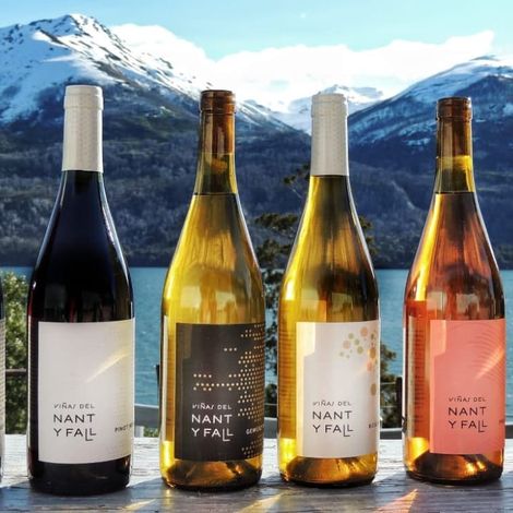 Viñas del Nant y Fall - Wines