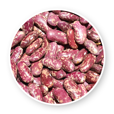 Abaymado Export
