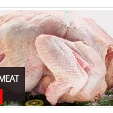 Screenshot 2023-02-09 184945.jpg