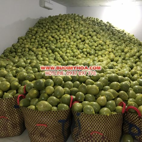 Huong Buoi My Hoa Trading One Member Company Limited - Packaging Area