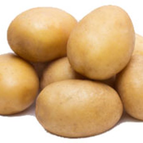Kartoffel.jpg