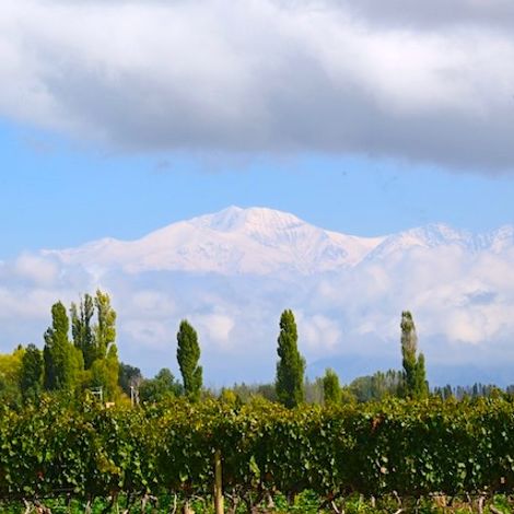 Belasco de Baquedano winery 2.jpg