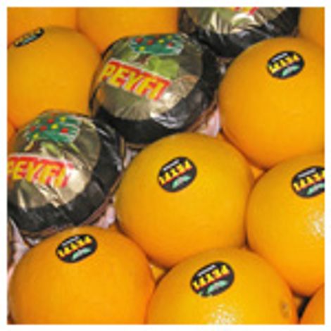 foto_p_naranjas.jpg