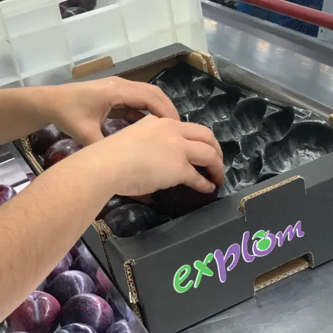 Production