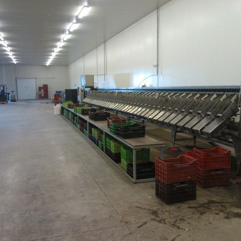 AGRICULTURAL COOP. OF ASPARAGUS & VEGETABLE PROD. OF OINIADES DELTA OINIADON - Facility
