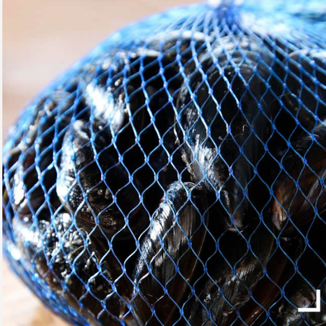 ALEXANDRIDIS, G., & CO. OE FRUTTI DI MARE