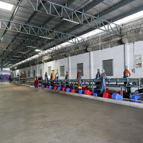 Amyra Food Products Pvt Ltd - Facility