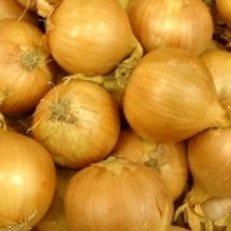 Spinger Gemüseverarbeitunsges. mbH