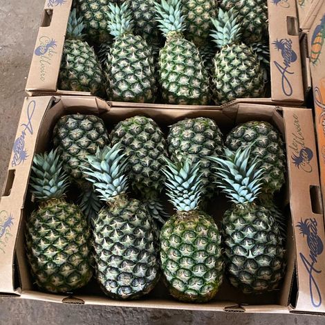 Premium MD2 Pineapples from Côte d’Ivoire – Consistent Sweetness & Export Quality