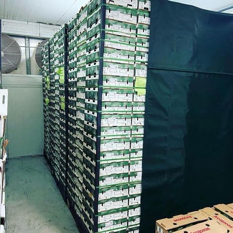 “BUKRIM Hass Avocado Pallet (Export Quality)”