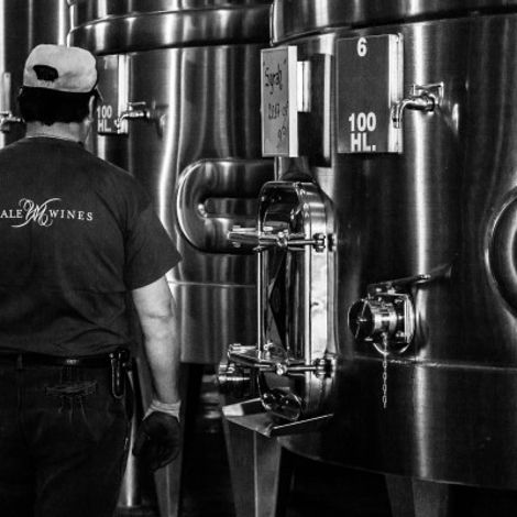 Marale Wines