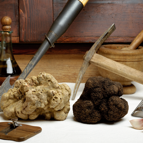 Some very large truffle specimens"