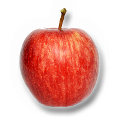 NARC FRUTAS – Cooperativa de Fruticultores e Horticultores da Região de Alcobaça, C.R.L