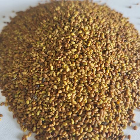 LUCERNE SEEDS