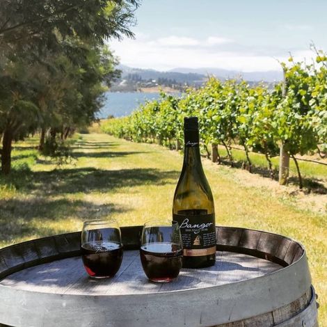 Bangor Vineyard Shed_Wine_Vineyards1