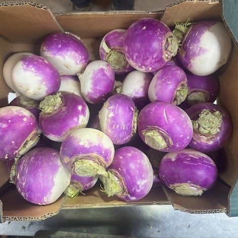 Turnips
