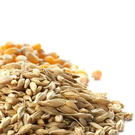 German Grain TAB GmbH