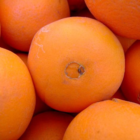 Ergün Halcilik Ambalaj İthalat İhracat Sanayi Ticaret Ltd. Şti.