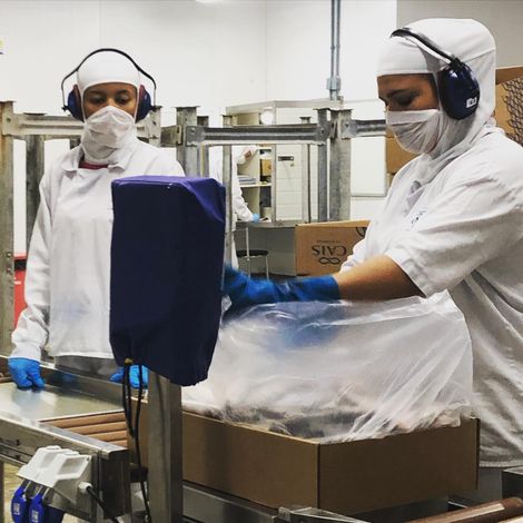 Production