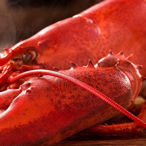 Shediac Lobster Shop Ltd.