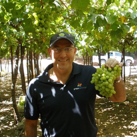 Crozasia Pty Ltd - Grapevine