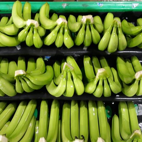 Organic Bananas