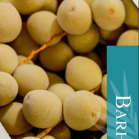 Barhi brochure