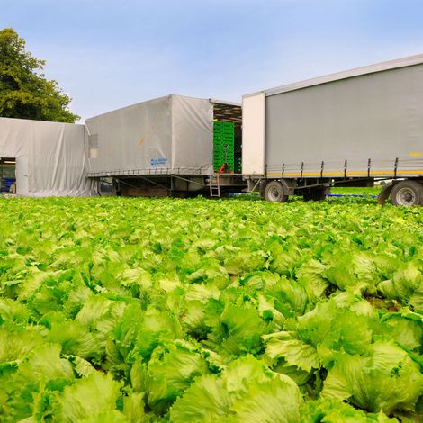 BÖHMER Frische GmbH