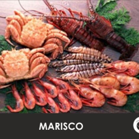 Nini Peixe, Lda.