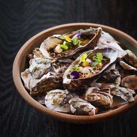 Tematuku Oysters Limited