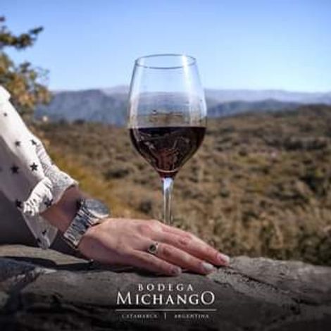 Bodega Michango