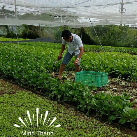 Minh Thanh Food Company Limited