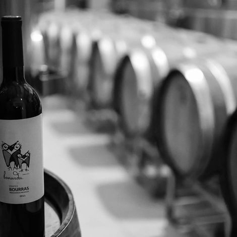 Chayee Bourras_Wines_Winery
