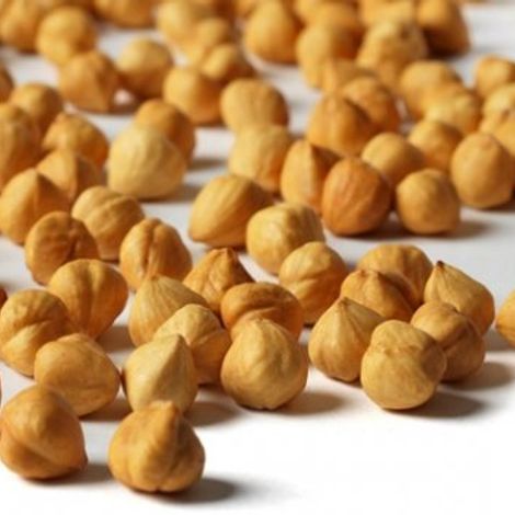 Bozbağ Hazelnut