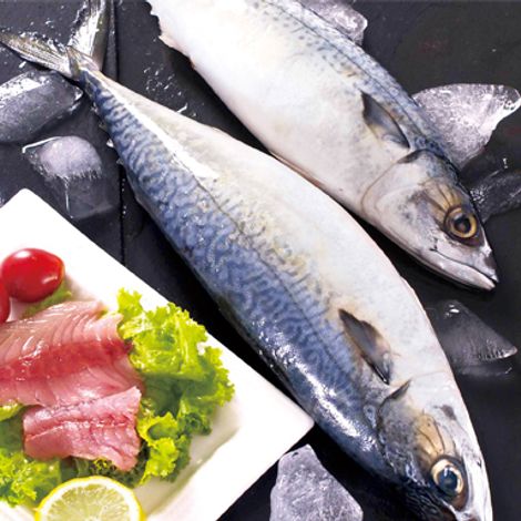 Frozen Fish