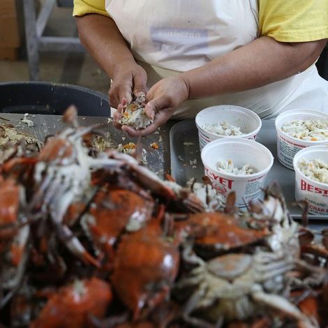 Russell Hall Seafood, Inc.