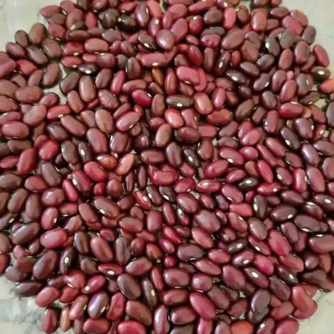 WhatsApp Image 2019-10-16 at 16.02.10.jpeg