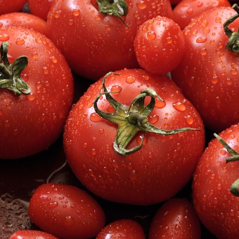 Tomatoes