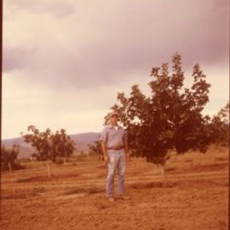 Eagle Ranch Pistachios