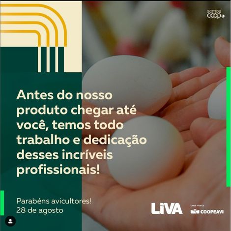 Egg Farm