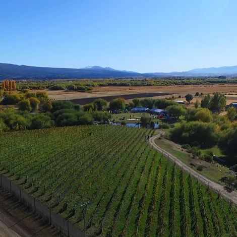 Viñas del Nant y Fall - Vineyard